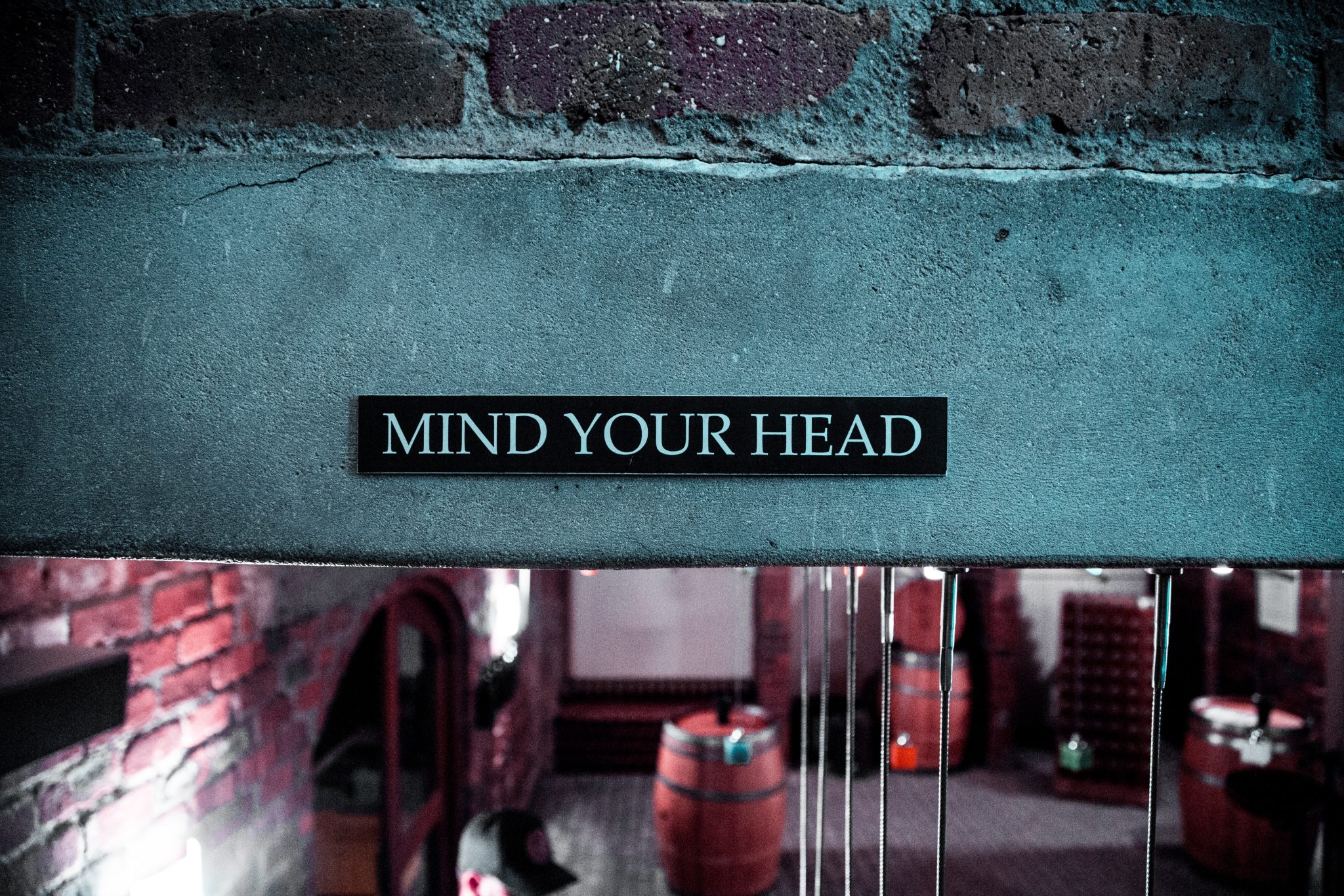 Your Mind is a Terrible Thing to Waste